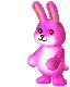rabbit_sq.gif